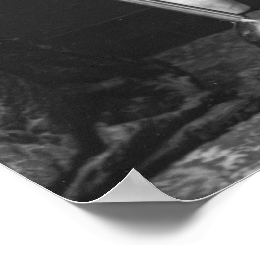 Poster Eugen Sandow Bodybuilder (Coin)