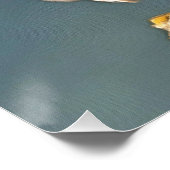 Poster Eurasian Collared Dove Art de la faune (Coin)