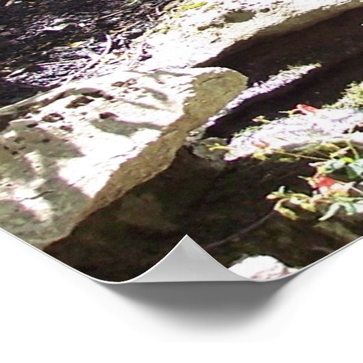 Poster Eureka Springs, Arkansas (Coin)