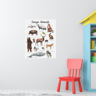 Poster Europe Animaux   Formation en classe