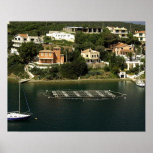 Poster Europe, Espagne, Minorque (ou Menorca). Poisson