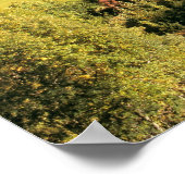 Poster Europe, Italie, Père Noël Magdalena. La minuscule (Coin)