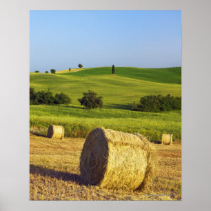 Poster Europe, Italie, Toscane, Val d'Orcia, Pienza -