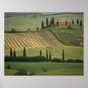 Poster Europe, Italie, Toscane, Val d'Orcia, Toscan