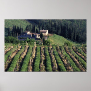 Poster Europe, Italie, Toscane. Villa panoramique chypre.