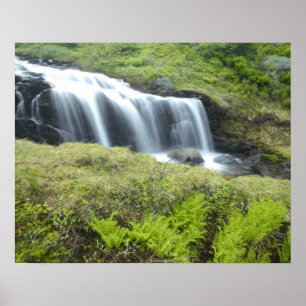 Poster Europe, Norvège. Cascade.