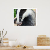 Poster European Badger (Cuisine)