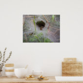 Poster European Funnel Web Spider (Keuken)