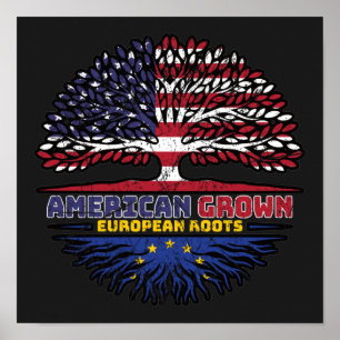 Poster European Union EU Europe US American USA United