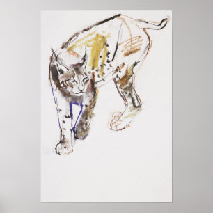 Poster Européen Lynx
