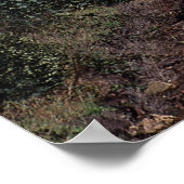 Poster Eurostar (Coin)