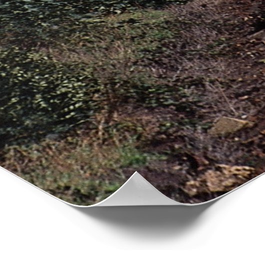 Poster Eurostar (Coin)