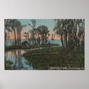Poster Eustis, Floride - Vue sur le canal de Swampy