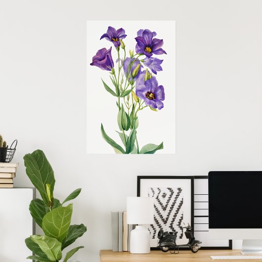Poster Eustoma Russelianum, Fleurs Violettes, (Bureau à domicile)