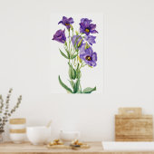 Poster Eustoma Russelianum, Fleurs Violettes, (Cuisine)