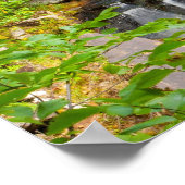 Poster Evans Falls, Maine (Coin)