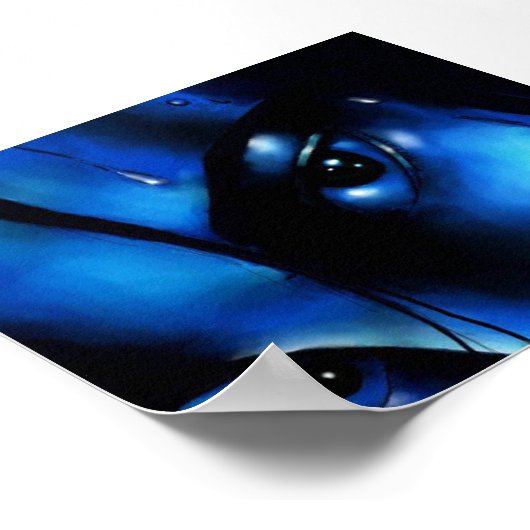 Poster Éveiller (Coin)