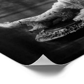 Poster Evelyn Nesbit (Coin)