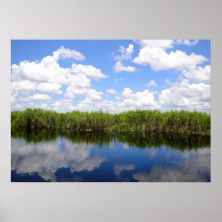 Poster Everglades