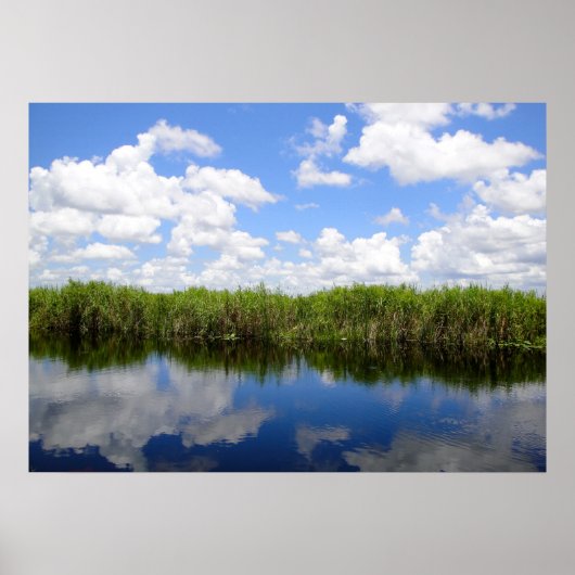 Poster Everglades (Devant)