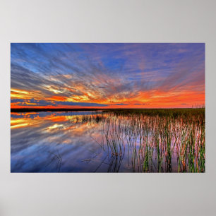 Poster Everglades colorés, Floride,