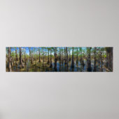 Poster Everglades Cypress (Devant)