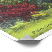 Poster Everglades Parc National Floride photo vintage (Coin)