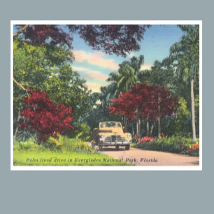 Poster Everglades Parc National Floride photo vintage
