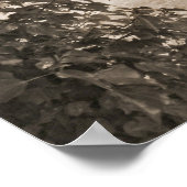 Poster Evergreens Et Gravestones (Coin)