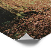 Poster Evermore | Accueil de la Fête des mariées forestiè (Coin)