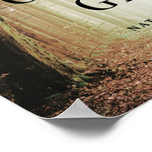 Poster Evermore | Forêt enchantée | Cartes et cadeaux en  (Coin)