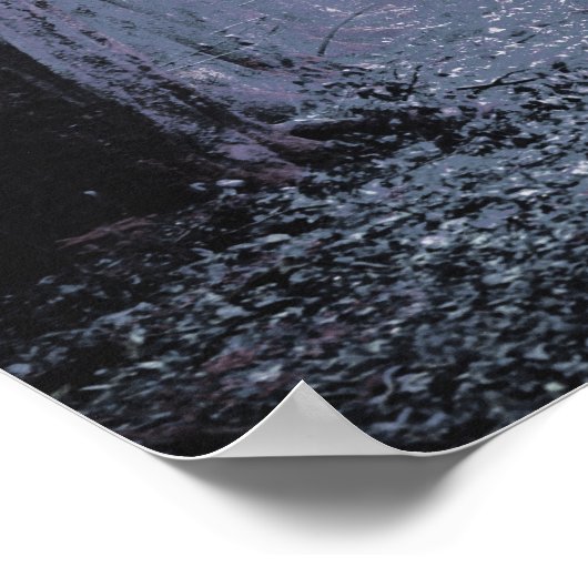 Poster Evermore | Forêt enchantée | Signer notre livre d' (Coin)