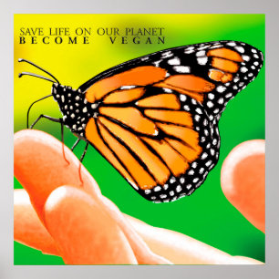 Poster Évoluez aux non violences. Deviennent le Vegan.