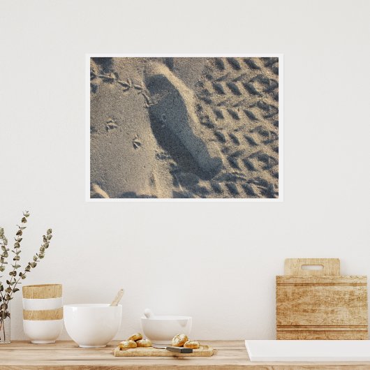 Poster évolution (Cuisine)