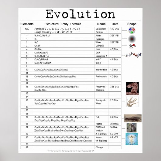 Poster Evolution (Devant)
