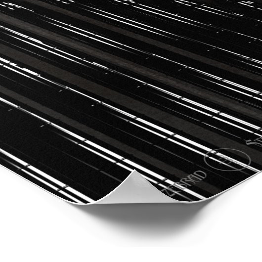 Poster Évolution (Coin)