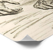 Poster EVOLUTION DARWIN Charles Robert Darwin 1871 carica (Coin)