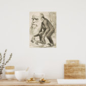 Poster EVOLUTION DARWIN Charles Robert Darwin 1871 carica (Cuisine)