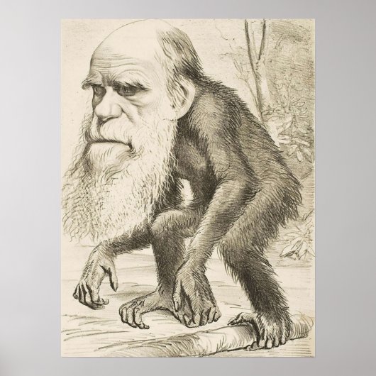 Poster EVOLUTION DARWIN Charles Robert Darwin 1871 carica (Devant)
