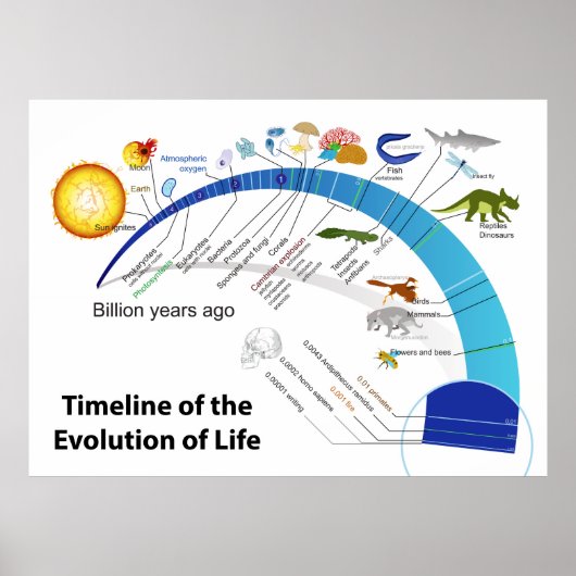 Poster Évolution de la vie sur Terre Diagramme chronologi (Devant)