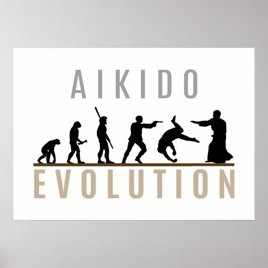 Poster Évolution de l'Aikido (Devant)
