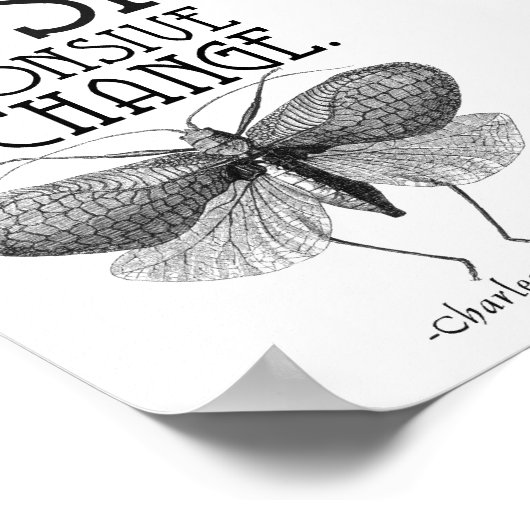 Poster Évolution des citations de Darwin (Coin)