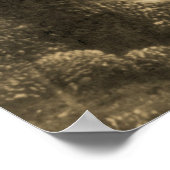 Poster Évolution des maillots de bain pour femmes (Coin)