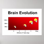 Poster Évolution du cerveau humain (Devant)