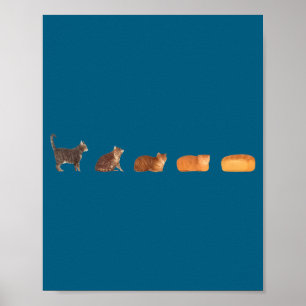 Poster Évolution du pain de chat en forme de pain drôle m