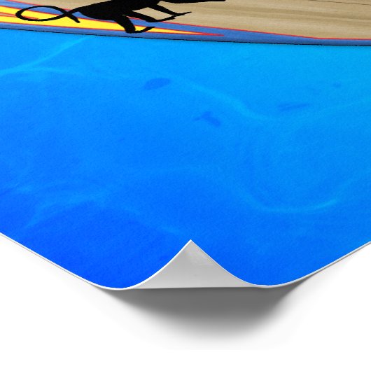 Poster Évolution du surf (Coin)