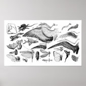 Poster Évolution du vol (Devant)