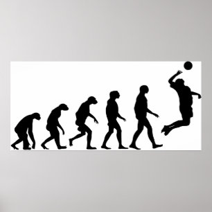 Poster Évolution du volley-ball