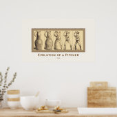 Poster Évolution d'un lanceur ~ 1889 ~ Art Vintage (Cuisine)
