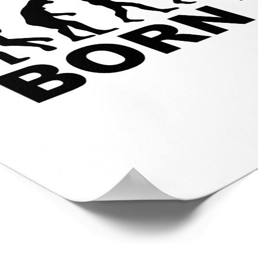 Poster Évolution née du cerf-volant (Coin)